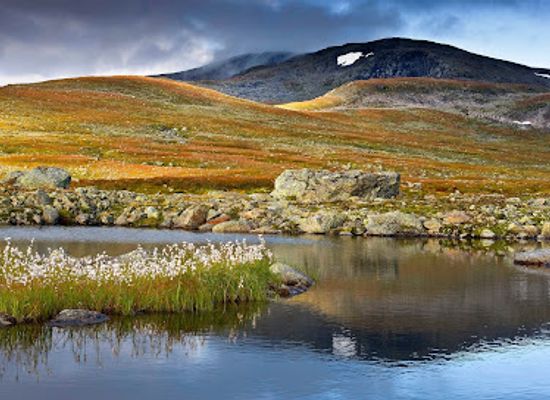 norway/nord-trondelag/attraction/lierne-nasjonalpark-lijren-vaarjelimmiedajve