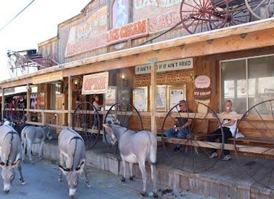arizona/kingman/attraction/oatman