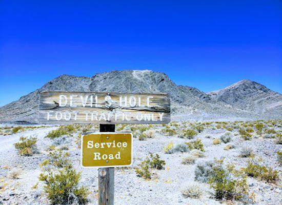 nevada/central-nevada/attraction/ash-meadows-national-wildlife-refuge