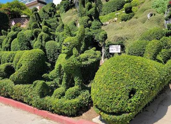 california/chula-vista/attraction/harper-s-topiary-garden