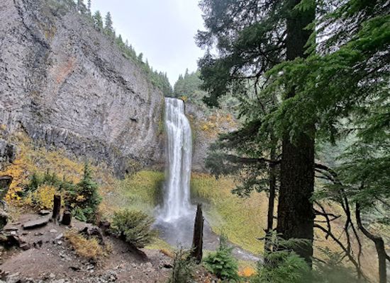 washington/the-blue-mountains/attraction/willamette-national-forest