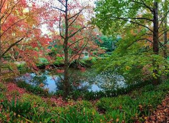 australia/central-coast/attraction/firescreek-botanical-winery