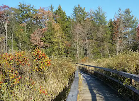 michigan/pere-marquette-state-forest/attraction/heritage-nature-trail