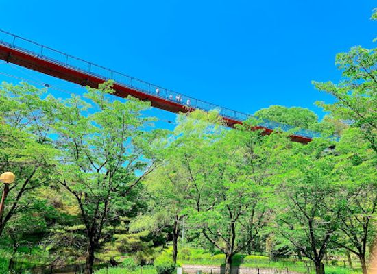 japan/shimotsuke/attraction/hachimanyama-park-adventure-bridge