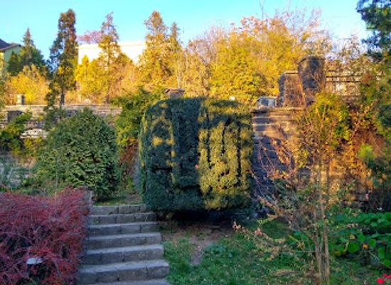 ukraine/uzhhorod/attraction/uzhnu-botanical-garden
