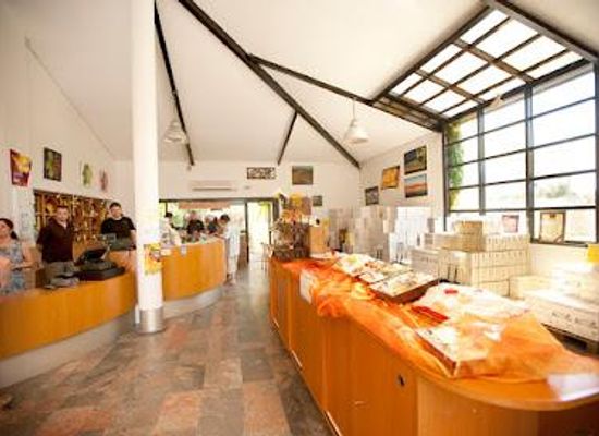 france/languedoc/attraction/sca-frontignan-muscat