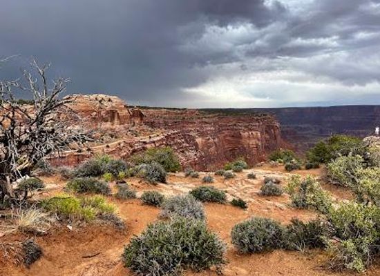 utah/canyonlands/attraction/shafer-canyon-overlook-trl