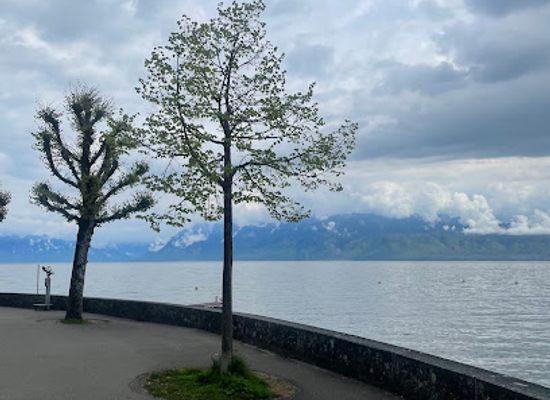 switzerland/lausanne/ouchy/attraction/quai-d-ouchy