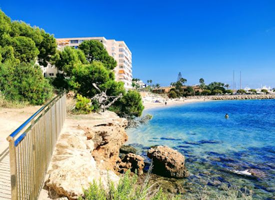 spain/balearic-islands/attraction/marineland-mallorca