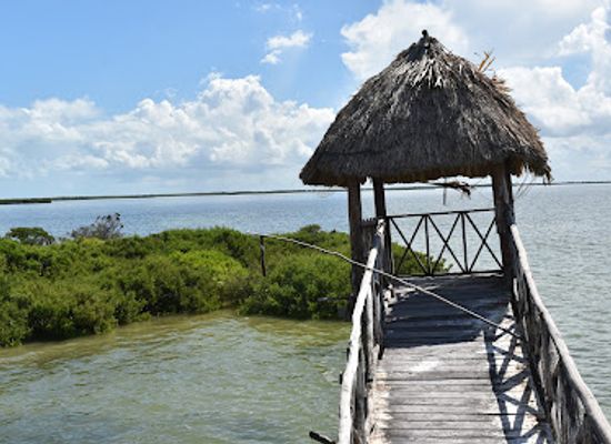 mexico/holbox-island/attraction/isla-de-los-pajaros