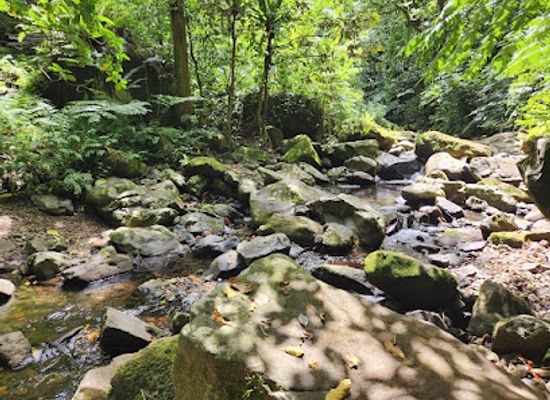 american-samoa/tutuila/attraction/mauga-o-tauese-waterfall