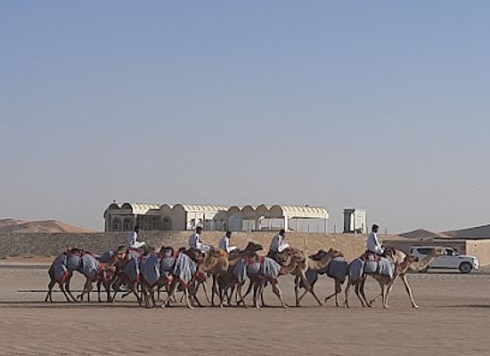 united-arab-emirates/dubai-desert-conservation-reserve/attraction/al-marmoom-heritage-village