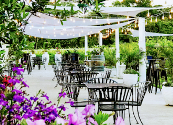 new-jersey/delaware-bayshore/attraction/turdo-vineyards-winery