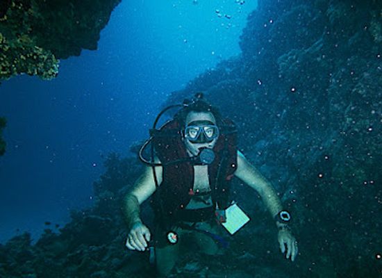 egypt/nuweiba/attraction/coral-resort-nuweiba-house-reef-diving-site