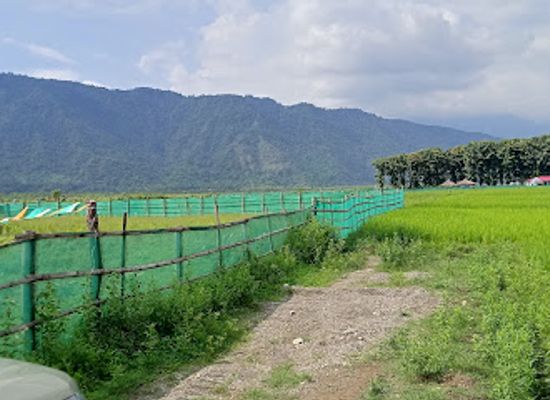 bhutan/phuentsholing/attraction/torsa-river-view-point-jaigaon