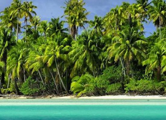 french-polynesia/rangiroa/attraction/lagon-bleu