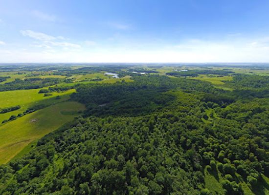 lithuania/samogitia/attraction/girgzdutes-piliakalnis