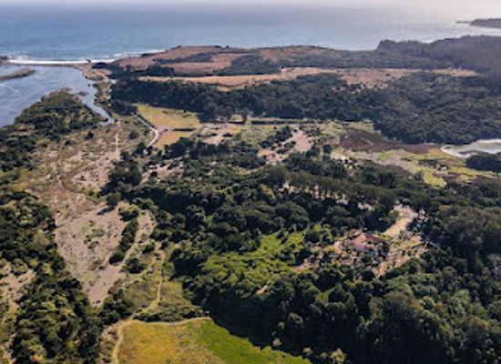 chile/biobio-region/attraction/museo-pedro-del-rio-zanartu-park