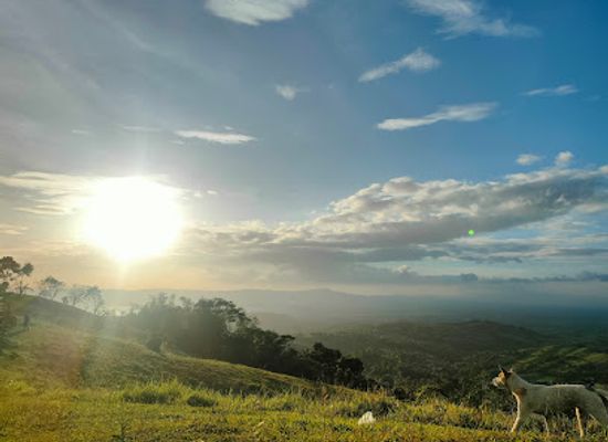 philippines/bicol-region/attraction/tinawagan-hills
