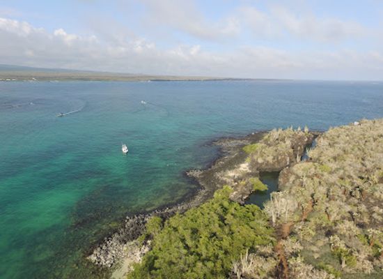 ecuador/galapagos-islands/attraction/academy-bay