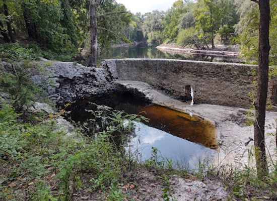 florida/suwannee-river/attraction/suwannee-springs