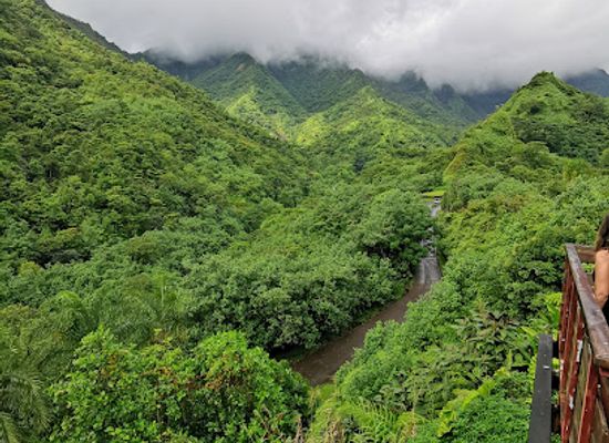 french-polynesia/windward-islands/attraction/marae-fare-hape