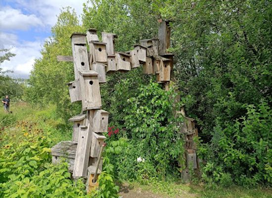 poland/warmia/attraction/lawendowe-pole