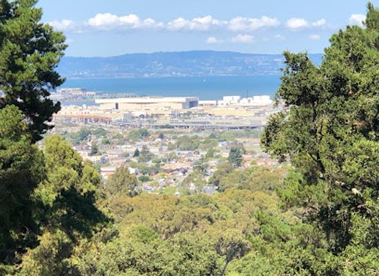 california/san-francisco-peninsula/attraction/junipero-serra-park