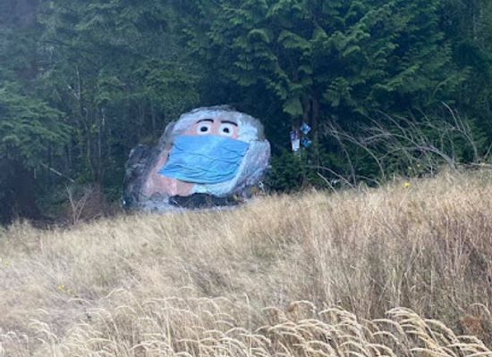 washington/the-skagit-valley/attraction/bellingham-rock-landmark