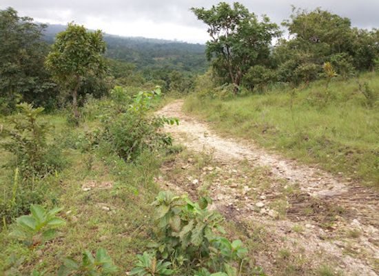 togo/atakpame/attraction/likpe-todome
