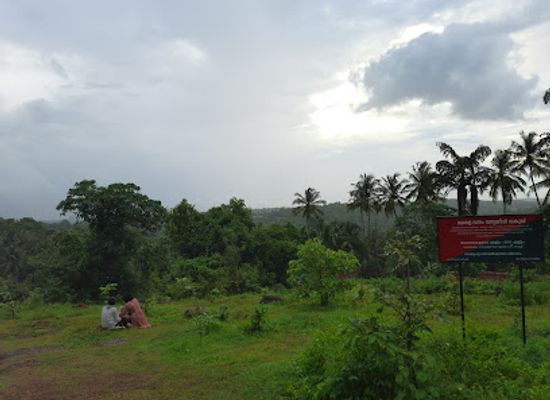 india/kozhikode/attraction/panchara-kunnu