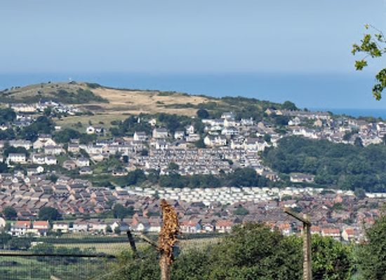 united-kingdom/caernarfonshire/attraction/welsh-mountain-zoo