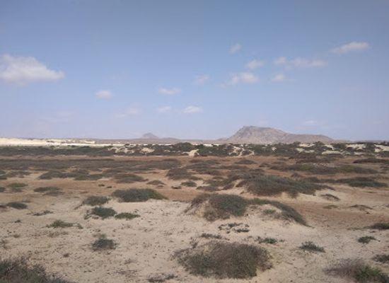 cabo-verde/praia-de-chaves/attraction/praia-da-varandinha