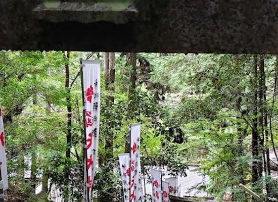 japan/kinki-kansai/attraction/kimpusen-ji-notenokami-ryuo-in