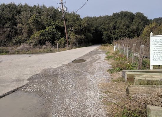 louisiana/grand-isle/attraction/lafitte-woods-nature-preserve-grilletta-tract