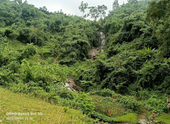 india/assam/attraction/bhalukjuri-waterfall
