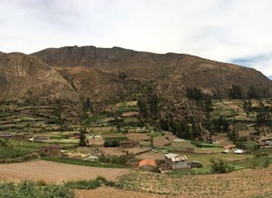 peru/junin/attraction/zoo-zhaveta-yard