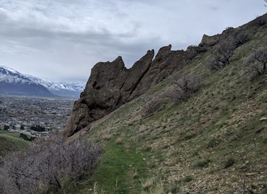 utah/uinta-wasatch-cache-national-forest/attraction/spring-creek-canyon-trail