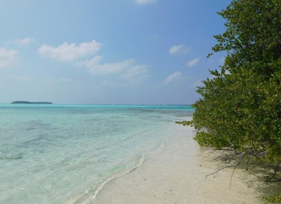 maldives/baa-atoll/attraction/goidhoo
