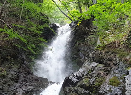 serbia/rasina/attraction/waterfall-jelovarnik