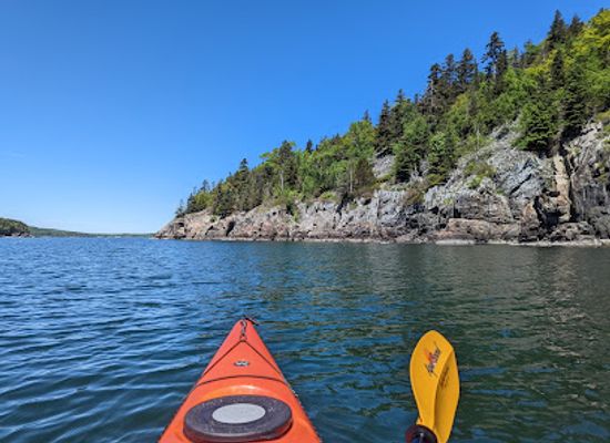 maine/downeast/attraction/coastal-kayaking-tours-inc