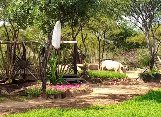 botswana/serowe/attraction/master-farm-bw