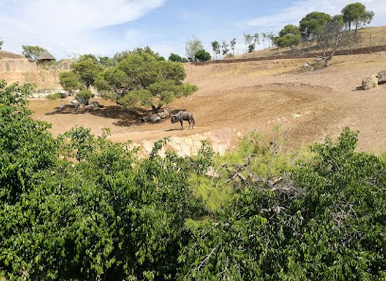 spain/murcia/attraction/terra-natura-murcia