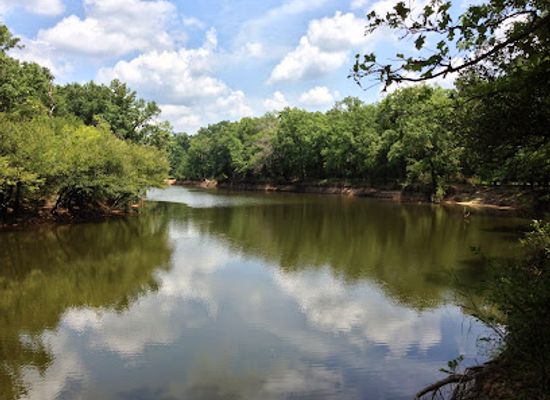 louisiana/sabine-national-wildlife-refuge/attraction/d-arbonne-national-wildlife-refuge
