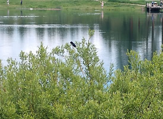 montana/flathead-lake/attraction/leisure-island-park