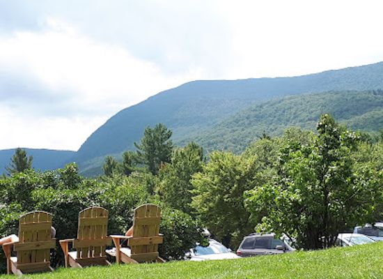 vermont/mount-mansfield/attraction/arbortrek-canopy-adventures