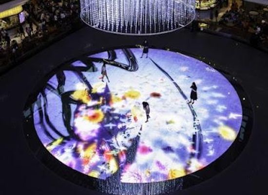 singapore/katong/attraction/teamlab-digital-light-canvas