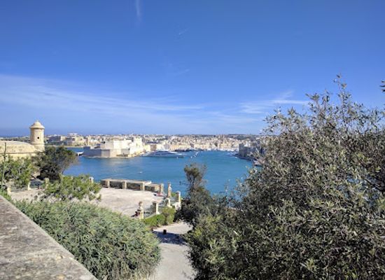 malta/marsa/attraction/argotti-botanic-gardens-and-resources-centre-university-of-malta-section