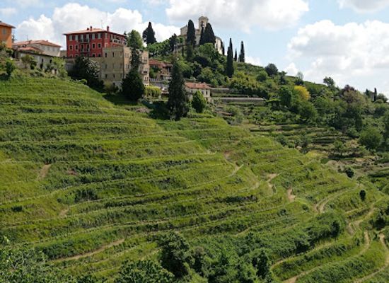 italy/brianza/attraction/parco-regionale-di-montevecchia-e-della-valle-del-curone