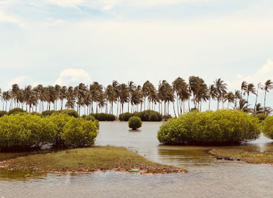 sri-lanka/puttalam-district/attraction/kudawa-beach-kalpitiya